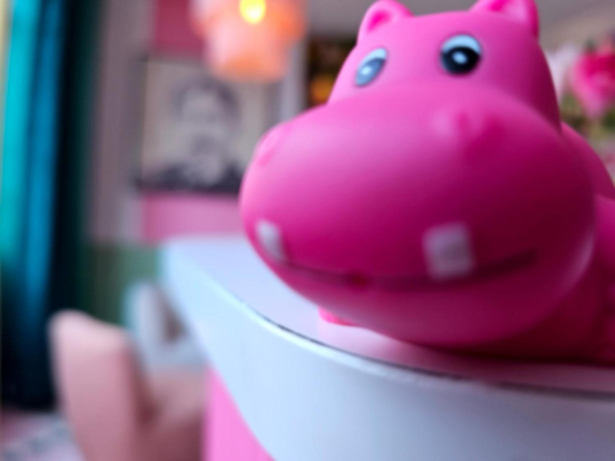 Pink Hotel Parijs